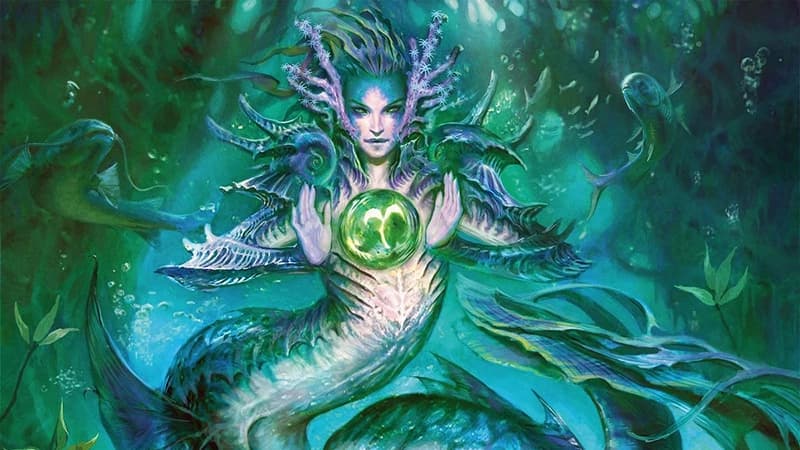 晴れる屋渋谷店 ポイント争奪統率者(2025/12/28)優勝はタトヨヴァ